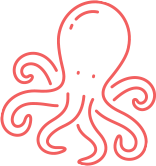 ícono Cephalopods recipes